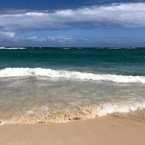 Meet your Posher, Jeanette